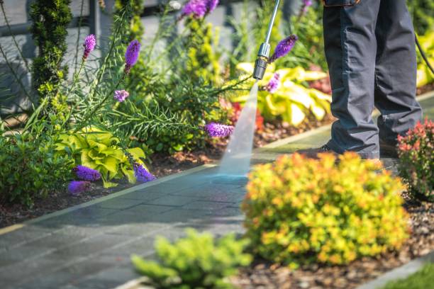 Best Pool Deck Cleaning  in Tashua, CT