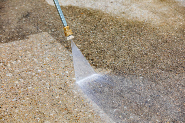 Animal Enclosure Cleaning in Tashua, CT